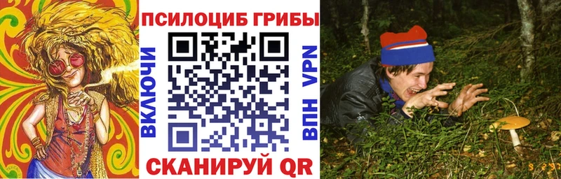 Псилоцибиновые грибы Magic Shrooms  Ильский 